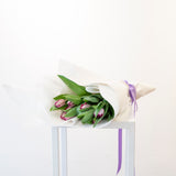 Seasonal Tulips